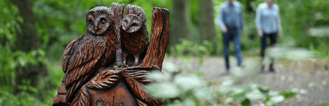 a wooden owl statue in a wooded area